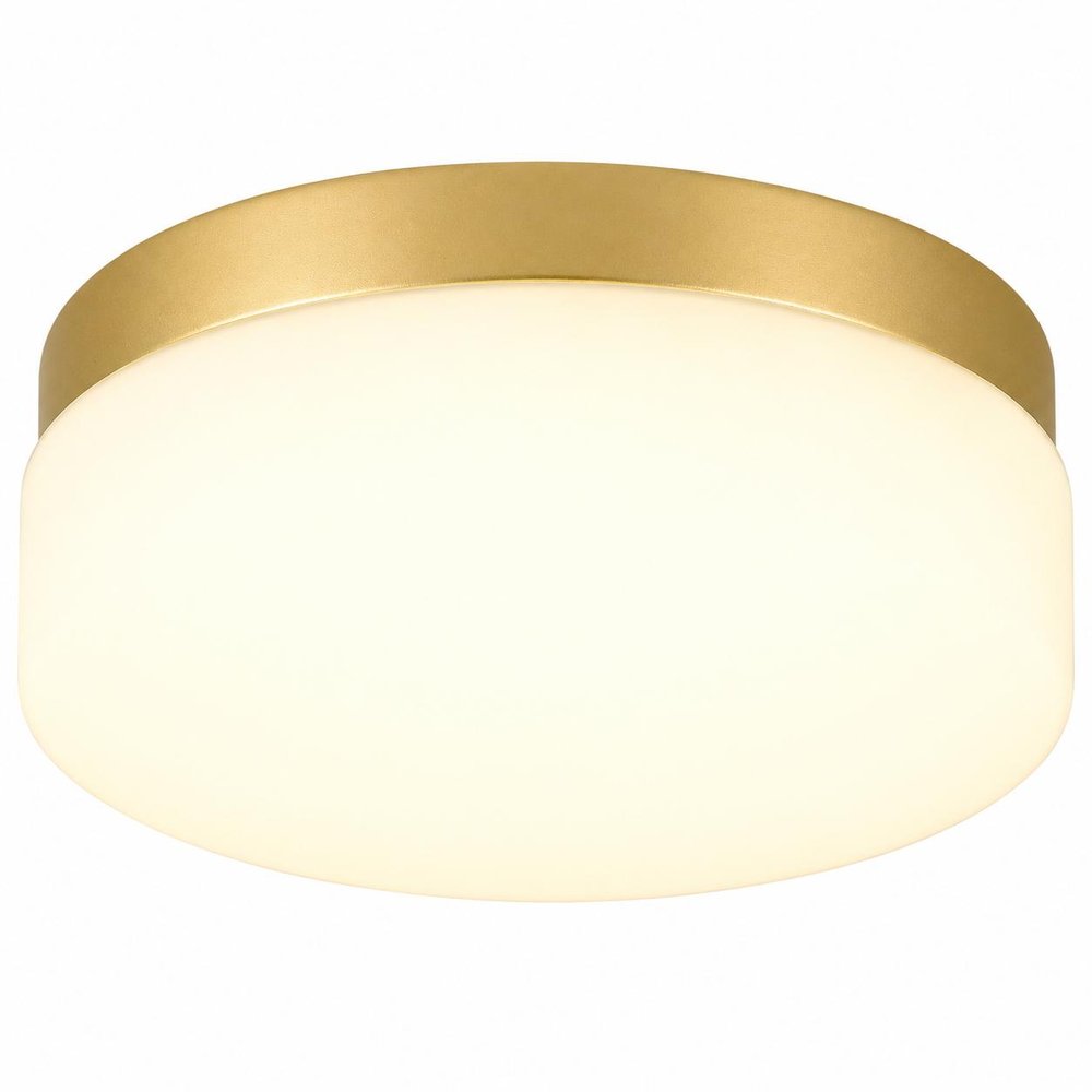 11" Black Metal And Frosted Glass Flush Mount Ceiling Light
