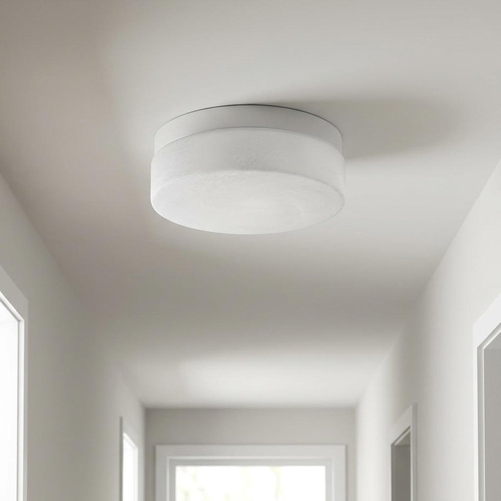 11" Black Metal And Frosted Glass Flush Mount Ceiling Light