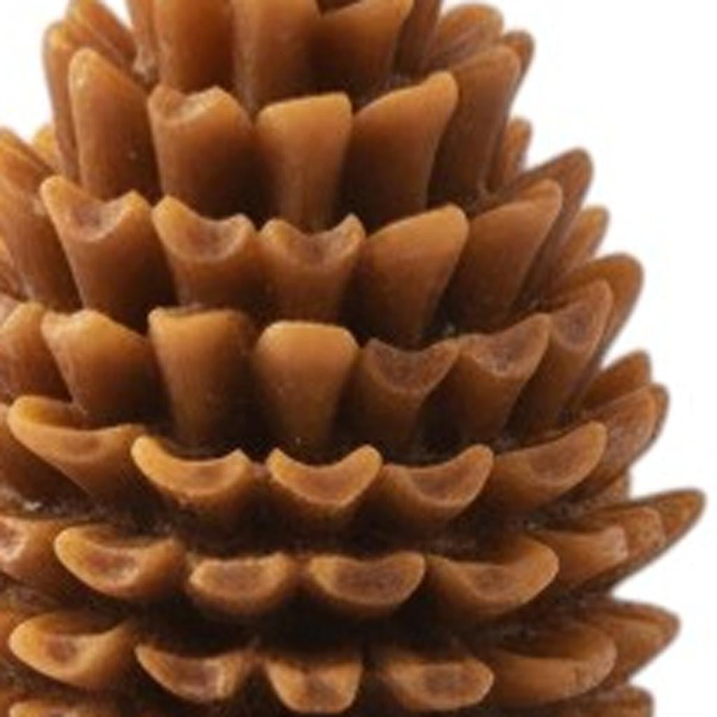 3" Brown Pumpkin And Latte Scented Dimensional Pinecone Candle