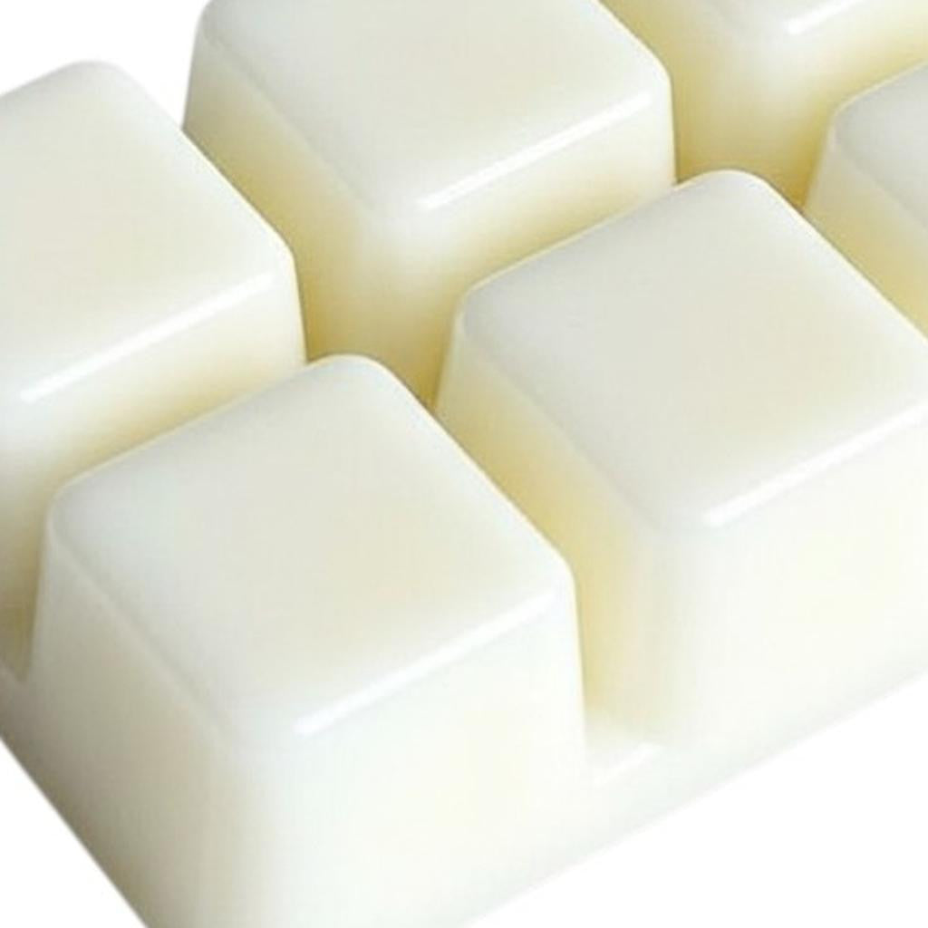 Set of Six Ivory Dragon's Blood Scented Soy Wax Melts