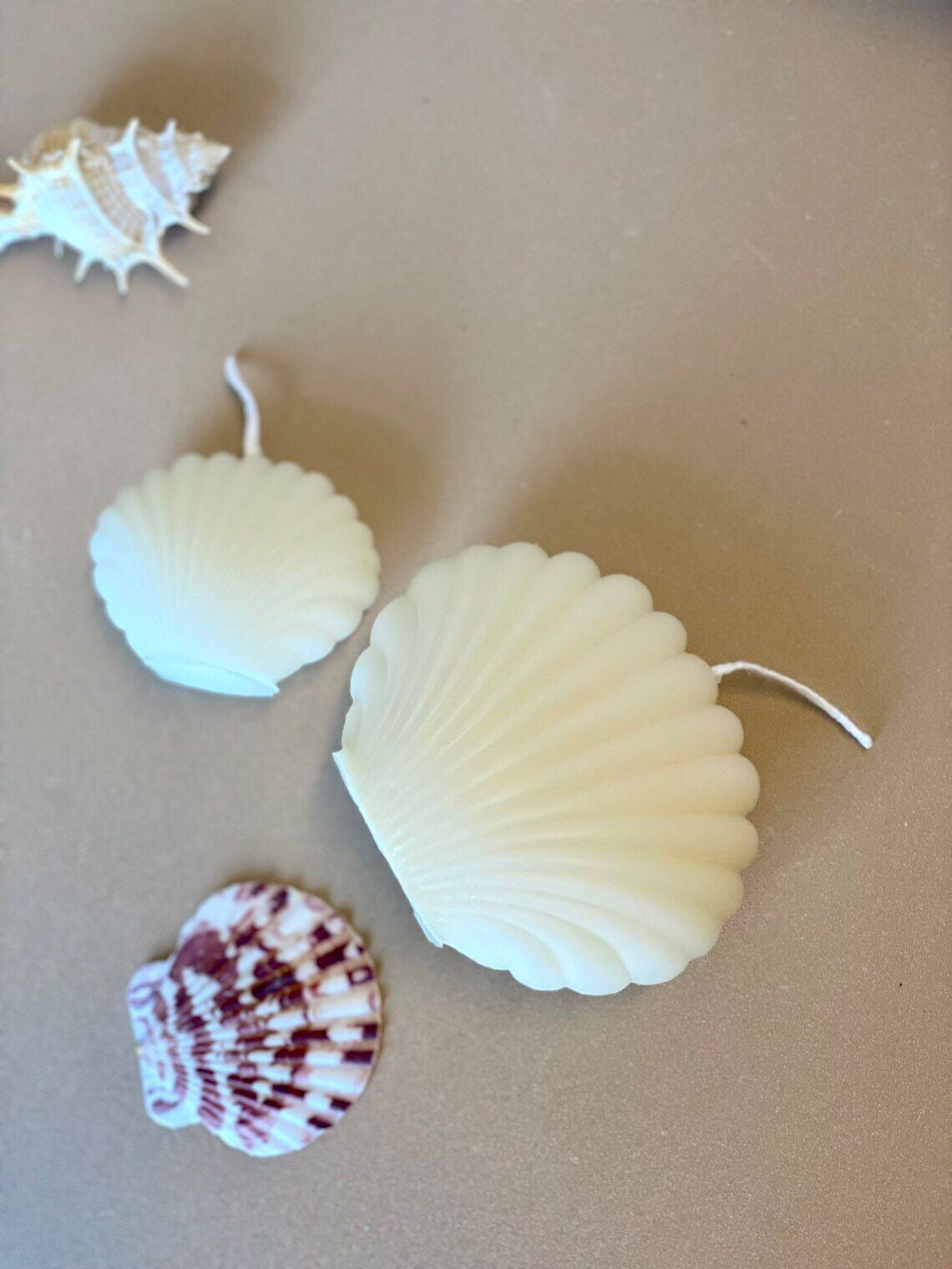 3" Ivory Unscented Dimensional Seashell Candle