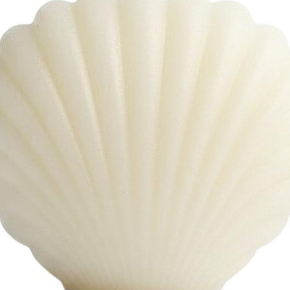3" Ivory Unscented Dimensional Seashell Candle