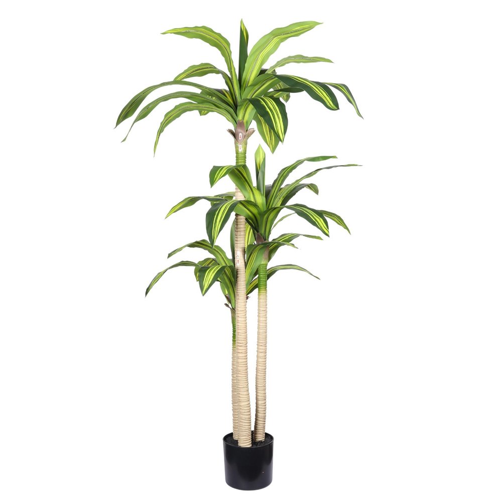 60" Green Artificial Dracaena Tree In Round Black Pot