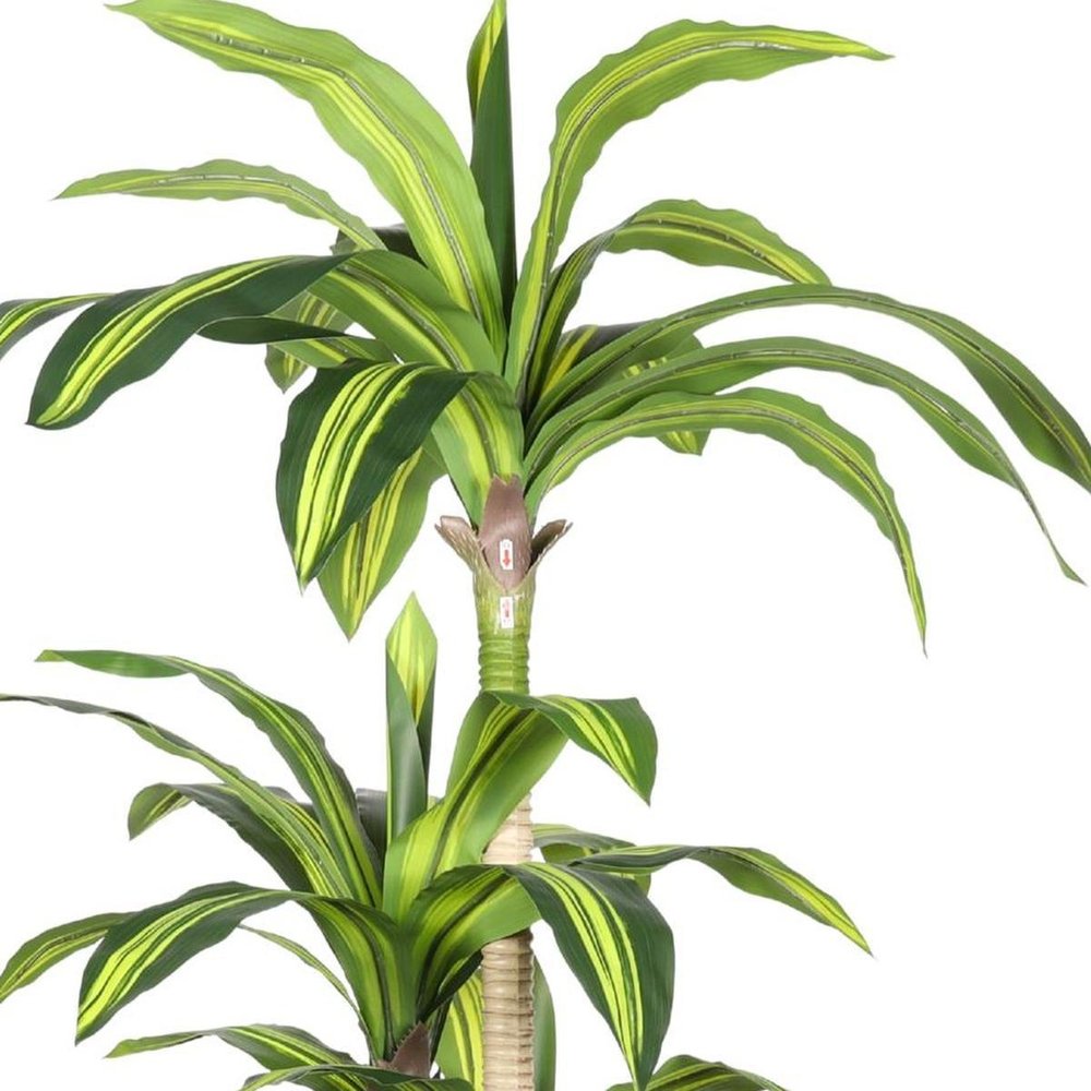60" Green Artificial Dracaena Tree In Round Black Pot