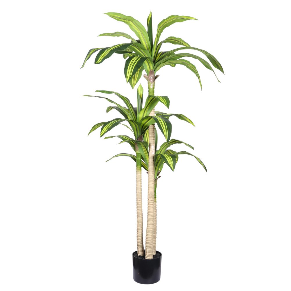 60" Green Artificial Dracaena Tree In Round Black Pot