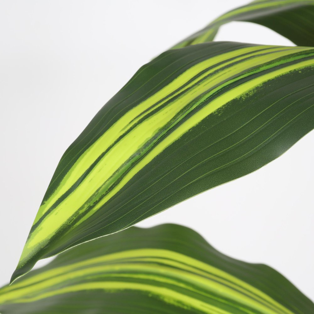 60" Green Artificial Dracaena Tree In Round Black Pot