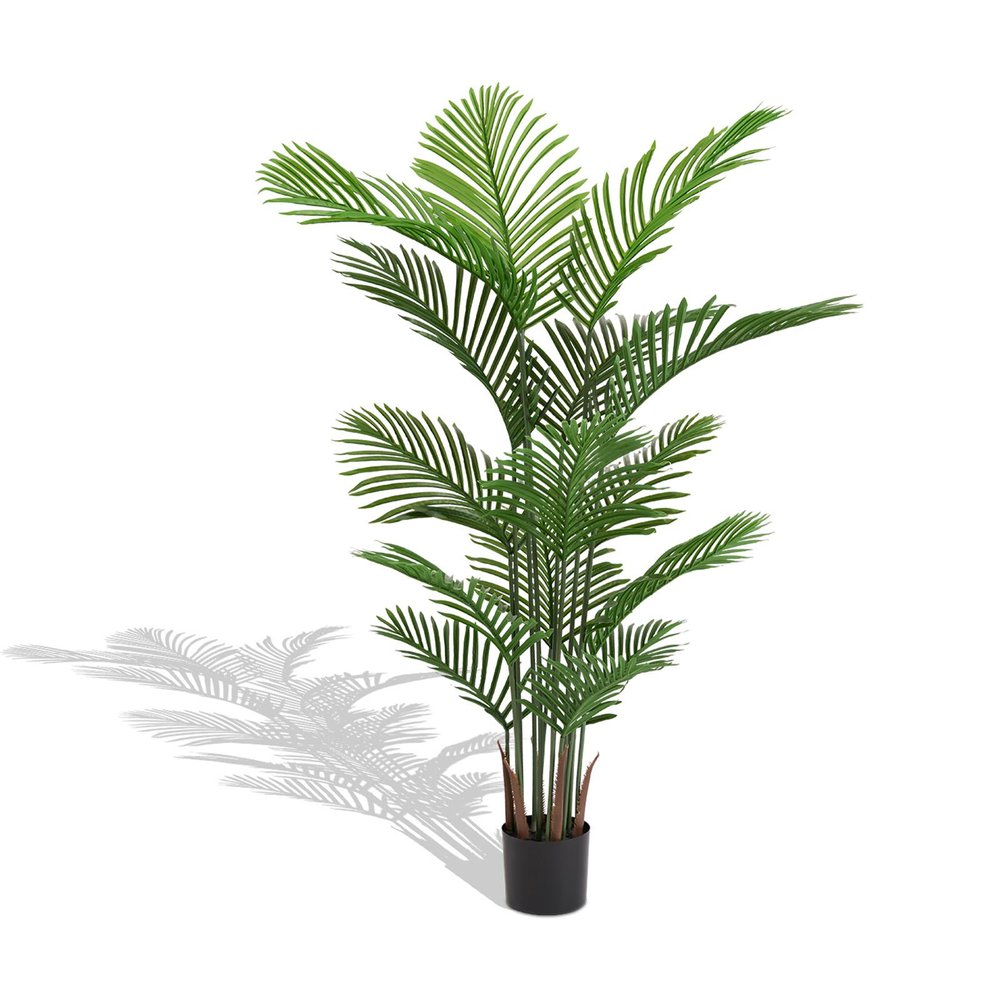 Set of Two 62" Green Artificial Palm Tree In Round Black Pot