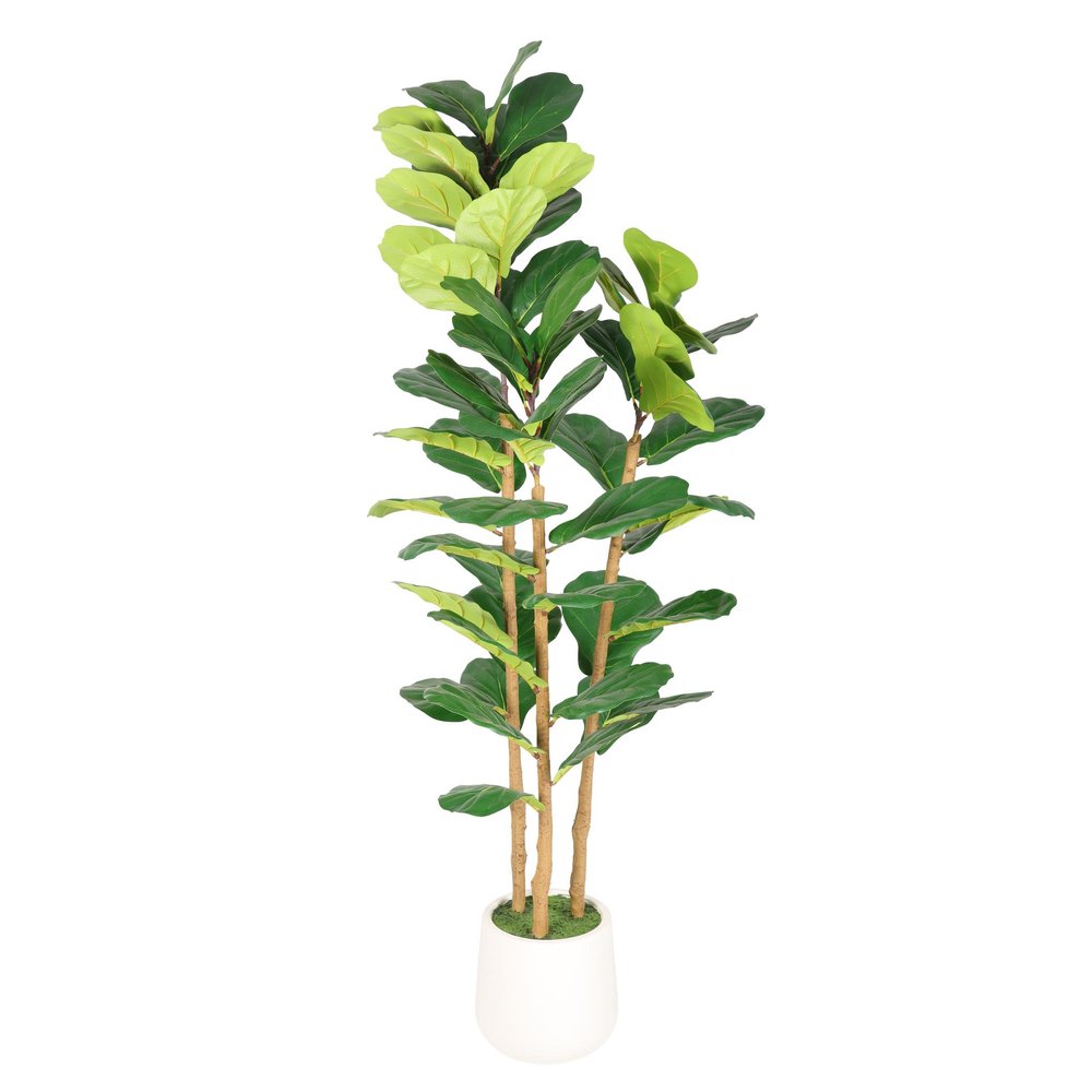 62" Green Artificial Fiddle Leaf Tree In Round White Pot