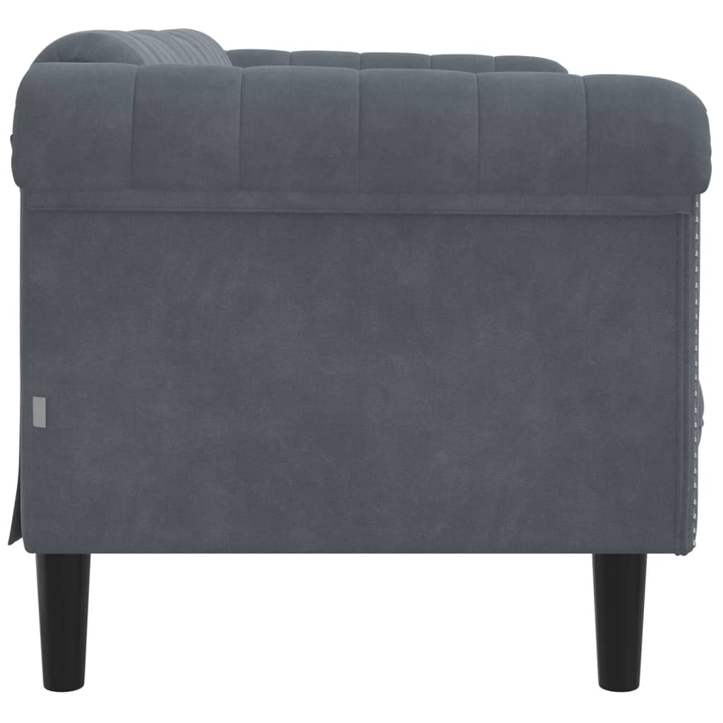 vidaXL Sofa 2-Seater Dark Gray Velvet-3