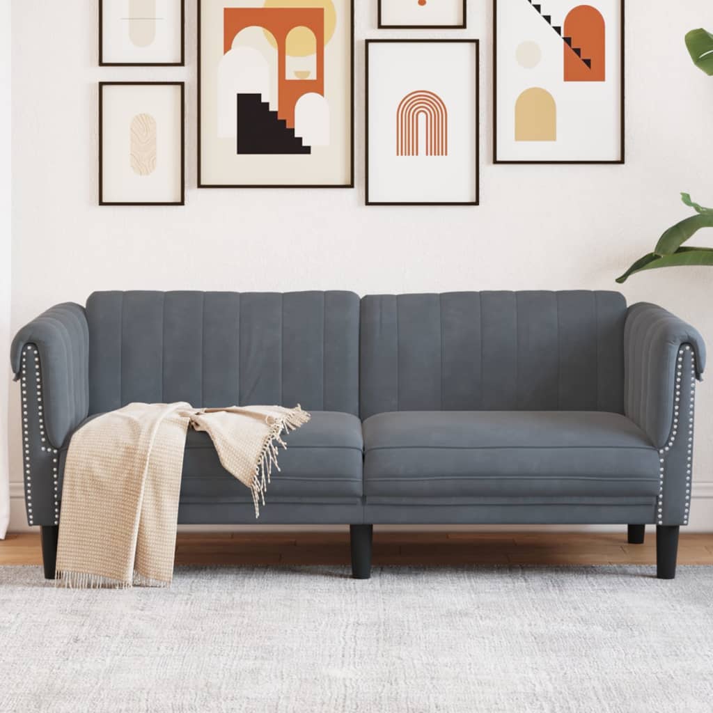 vidaXL Sofa 2-Seater Dark Gray Velvet-0