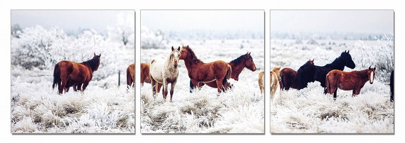 24" Multicolor Canvas 3 Horizontal Panels Horses Photo