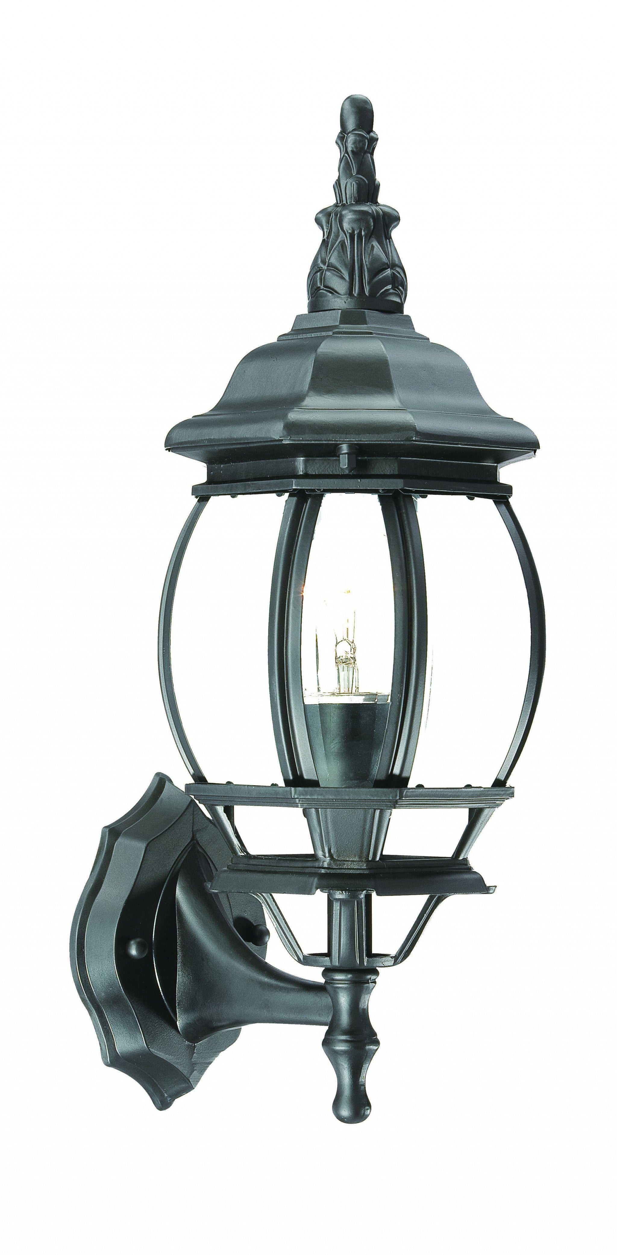 Matte Black Ornamental Glass Globe Wall Light