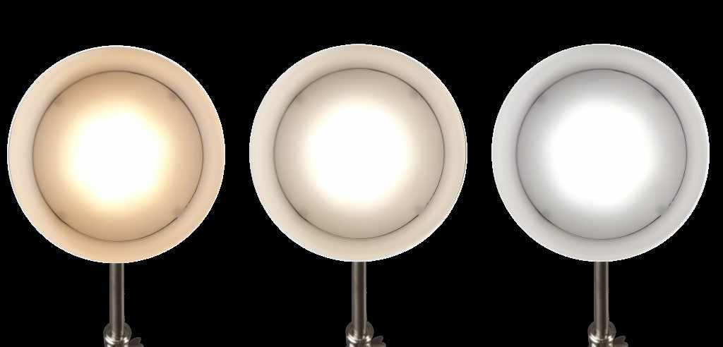 Brushed Silver LED Adjustable Desk Lamp