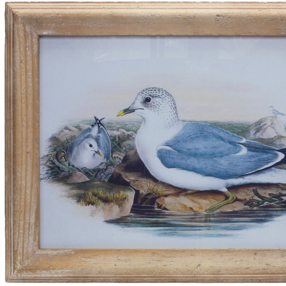 13" X 17" Natural And Blue Bird Solid Wood Framed Art